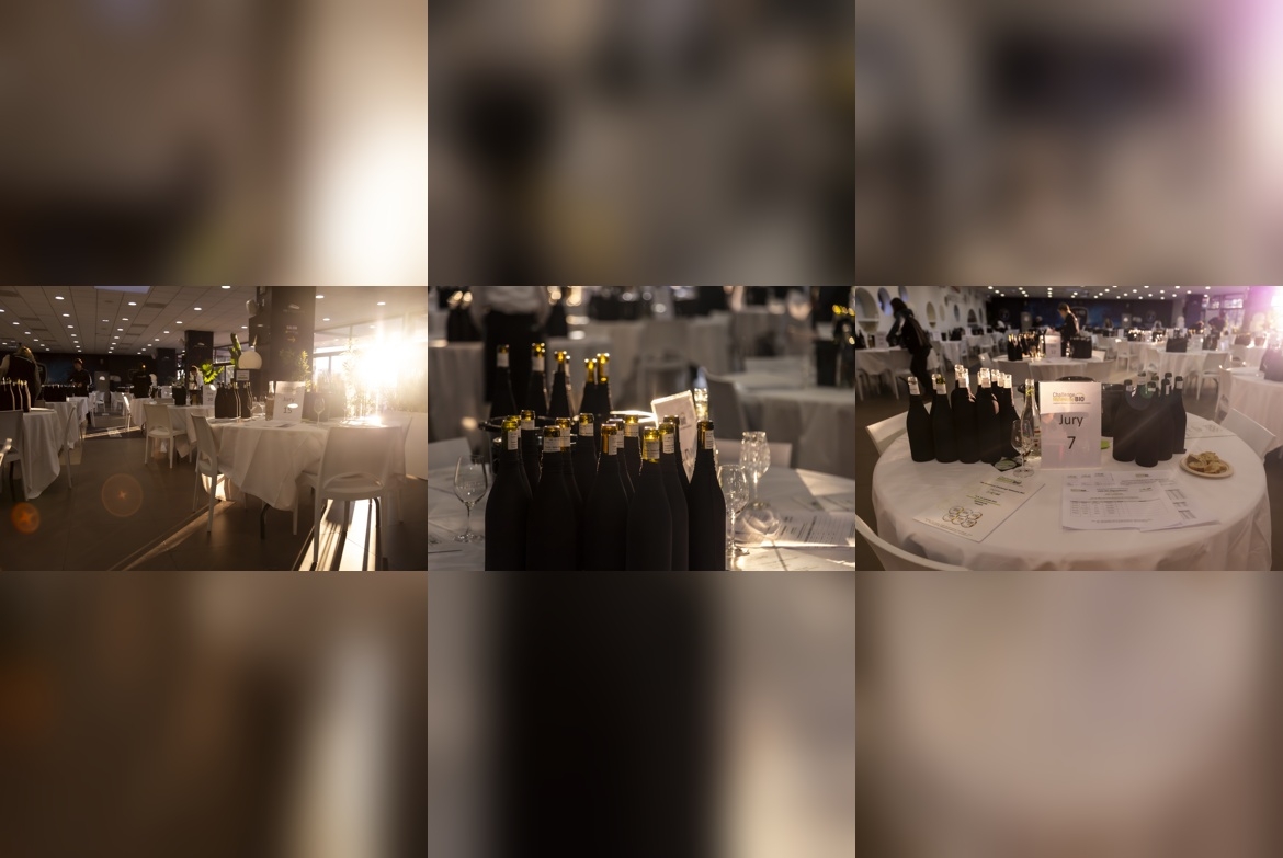 Challenge Millésime Bio